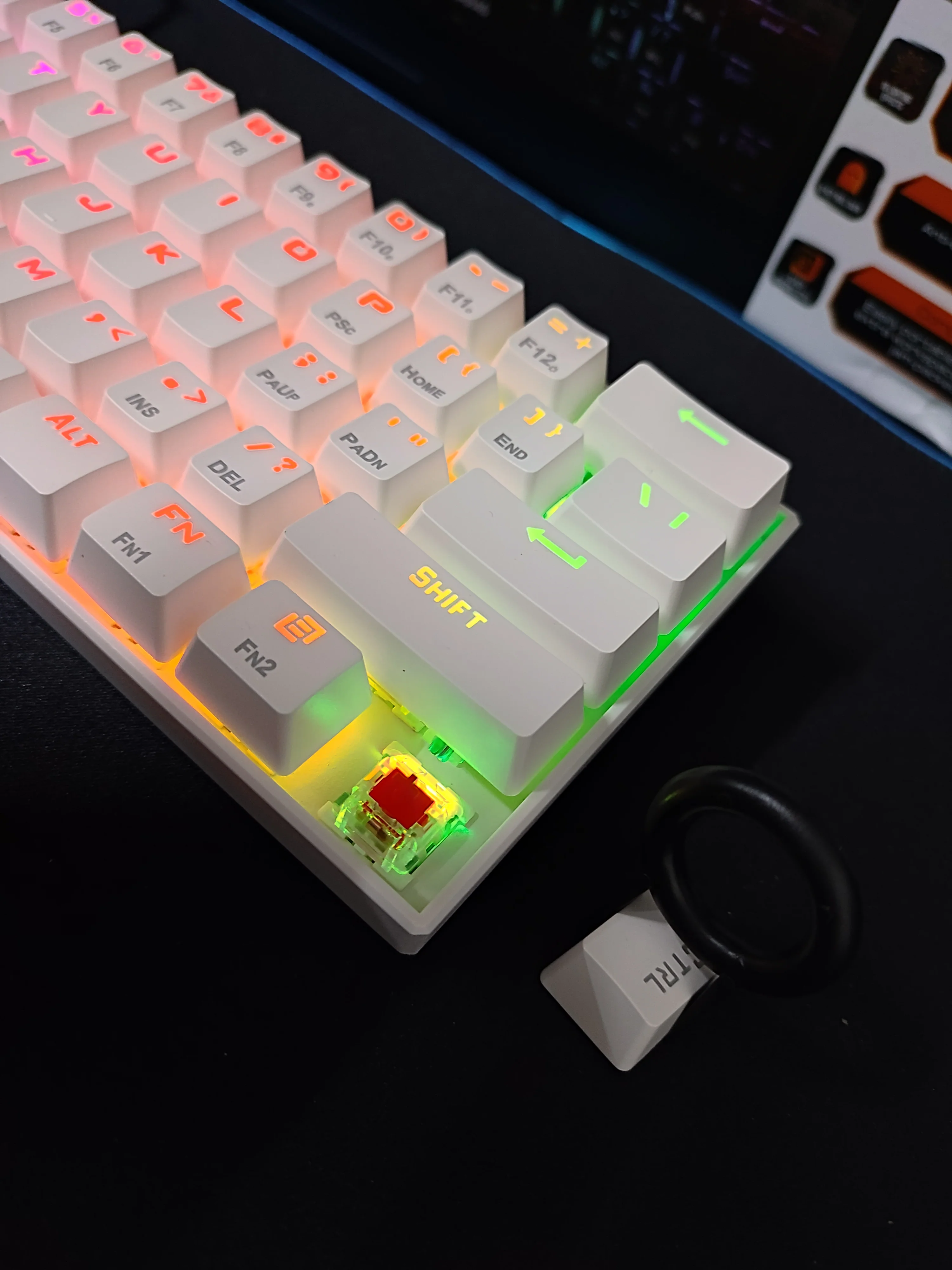 Miniatura 9